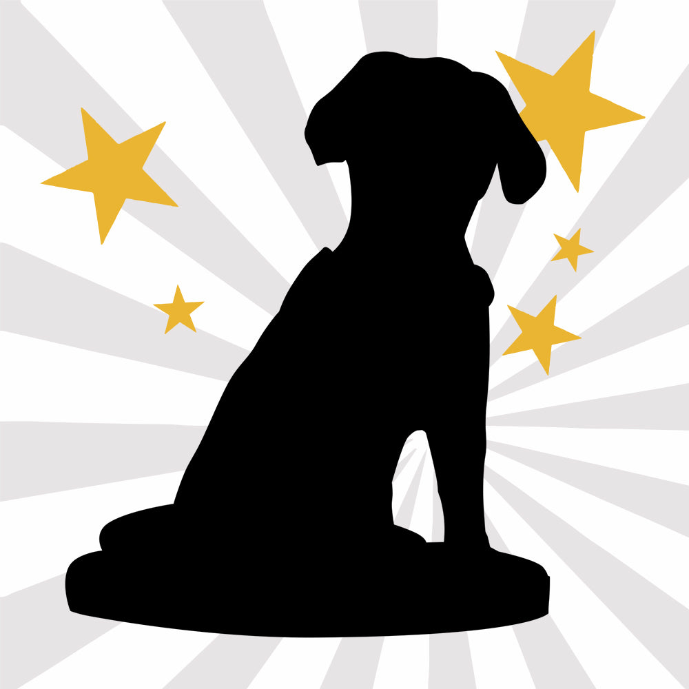 Personalisierter Bobblehead für Haustiere – nach Foto – mit Wunschgravur.